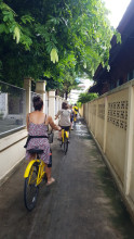 Th Bangkok Cycle